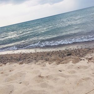 Meet your Posher, Donald